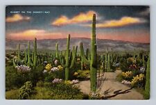 Sunset on the Desert, Cactus, Plants, Antique Vintage Souvenir Postcard picture