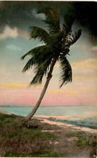 Winter Park, Florida, Sunny Scenes, Inc., downtown area, beautiful Postcard picture