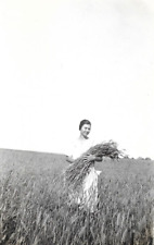Pretty Woman in a Field Holding Crop, Vintage Snapshot Photo picture