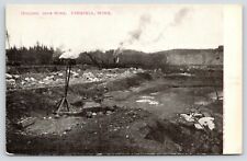Virginia Minnesota~Higgins Iron Mine~Open Pit~Steam Train & Shovel~1905 B&W PC picture
