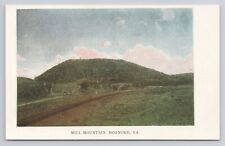 Mill Mountain Roanoke Virginia c1905 Antique Postcard picture