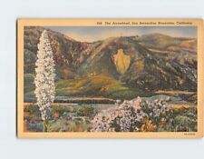 Postcard The Arrowhead San Bernardino Mountains California USA picture
