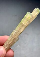 57 Cts Beautiful Termineted bi colourTourmaline Crystals bunch  from Afghanistan picture