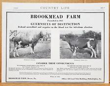 1930 Devon PA Brookmead Farm Guersney Cows Sale Photo Print AD picture