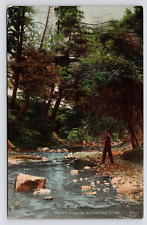 c1915~Branford Connecticut CT~Trout Fly Fishing~River~Antique VTG Postcard picture