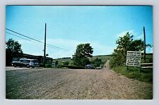 Magnetic Hill New Brunswick-Canada, Cars Coasting Up Hill, Vintage Postcard picture