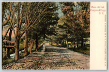 Undivided Back Postcard~ Main Street~ Campton Village, New Hampshire picture