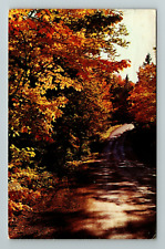 MI-Michigan, A Country Fall Trail In October, Vintage Postcard picture