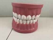 Large Teeth Mouth Dentist Display Adjustable picture