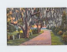 Postcard A Scene on US Highway 301 in Dixieland USA picture