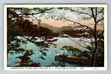 Lake Lure NC- North Carolina, Dogwood Days At Lake Lure, Vintage Postcard picture