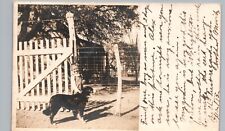 BOY INDIAN COSTUME, DOG kerrville tx real photo postcard rppc texas history picture