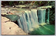 Kentucky Corbin Cumberland Falls State Park Waterfall Birds Eye View Postcard picture