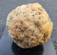 Beautiful 2.5 Lb Geode Agate Indiana Quartz Crystals Horn Coral Nodules Unopened picture