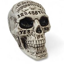 Realistic Human Skull ~ Fortune ~ Magic ~ Halloween Decoration ~ White Aged Look picture
