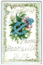 1907 Greetings From Embossed Flower Glitter Macksville West Virginia WV Postcard picture