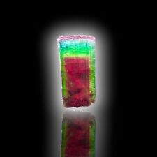 Pink-cap Rainbow Watermelon Tourmaline var. Elbaite with Lepidolite and Mica picture
