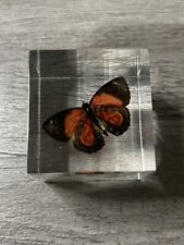 Vintage Acrylic Butterfly Paperweight. Measures 2X2 picture