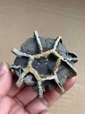 115g Natural tortoise back pattern stone Moire stone specimen picture