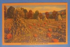 Greetings from WINDSOR, OH ~ Pumpkin Patch Vintage Postcard picture