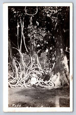 Vintage RPPC Trinidad & Tobago Child Sitting on Rope Tree Q10 picture