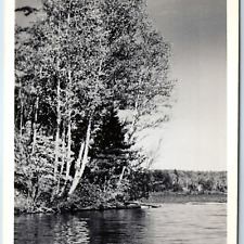 c1940s Webb, Herkimer Co., NY RPPC Second Lake Birch Trees Fulton Old Forge A209 picture