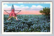 Austin TX-Texas, State Capitol, Blue Bonnets State Flower, Vintage Postcard picture