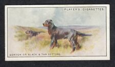 GORDON SETTERS Vintage 1925 Dog Painting Card  picture