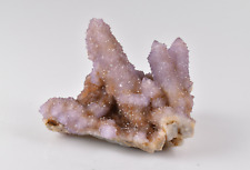Amethyst Spirit Quartz Cluster from South Africa  10.7 cm # 17317 picture