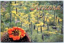 Postcard - Arizona picture