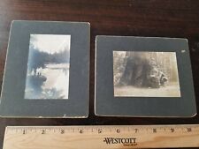 2 c 1905 Yosemite Park California Grizzly Giant& Mirror Lake Cabinet Photographs picture
