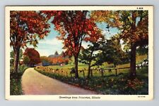 Princeton, IL-Illinois, Scenic Greetings Autumn Antique, Vintage Postcard picture