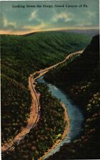 Postcard Looking Down the George, Grand Canyon of Pennsylvania picture