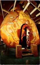 Chicago IL Human Heart Giant Model Museum Science Industry postcard EQ3 picture