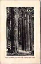 KLAMATH FALLS OR - Big Pine Timber Near Klamath Falls Real Photo Postcard rppc picture