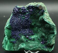 Azurite on Malachite, HUGE Specimen, China - Mineral Specimen for Sale picture