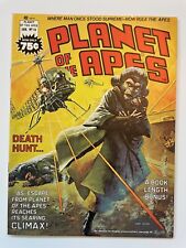 Planet of the Apes Magazine Comic #16, January 1976.  Very Cool picture