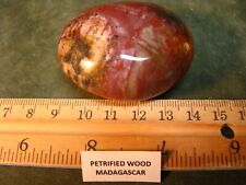 82g 52mm POLISHED PETRIFIED WOOD PALM STONE MADAGASCAR PURPLE/PINK/BROWNS/REDS picture