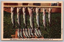 Fishing Lake Winnepesaukee White Mountains New Hampshire Linen WOB PM Postcard picture