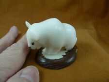 (TNE-BUF-450c) white Buffalo bison TAGUA NUT Figurine Vegetable love buffaloes picture