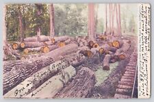 Postcard Logging Lumber Industry Logs Along Tram Road Ready For Shipment 1909 picture