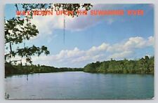 Postcard Way Down Upon The Suwannee River picture