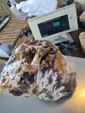 Petrified Wood, Agate, Amazing Unique Sample, Looks very solid (7.35 Pounds) picture