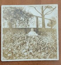 1915 Baby Photo Edwardian Era Snapshot Garden Antique Miniature Square Signed  picture
