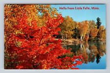 Little Falls MN-Minnesota, Scenic Greetings Red Maple Antique Vintage Postcard picture