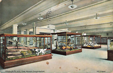 Pittsburgh PA Pennsylvania, Carnegie Institute Museum Interior, Vintage Postcard picture
