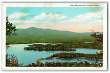 c1940's Scene at Lake Megunticook Camden Maine ME Vintage Unposted Postcard picture