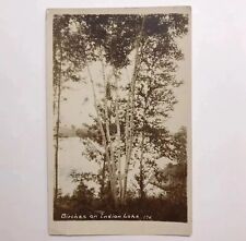 RPPC New York Birches on Indian Lake Postcard Vintage Antique Sabael PM 1916? picture