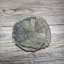 Pyrite Crystal SUN or Pyrite Crystal DISC 100% Natural From Illinois 111g picture