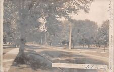 Albert Lea Minnesota~Fountain Street Looking West~Neighborhood~1905 RPPC picture